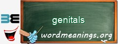 WordMeaning blackboard for genitals